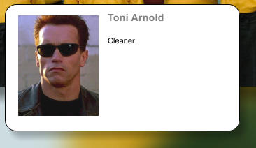 Toni Arnold   Cleaner